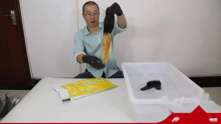 Pacchetto di capelli umani vergini allineati con cuticola brasiliana all'ingrosso campione gratuito per salone professionale con 3 anni di durata